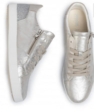 Geox Blomiee Silver Glitter Side Zipper Sneakers